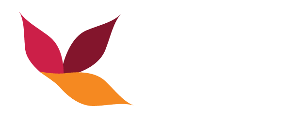 Qlipp Storytelling – Personal Branding & Storytelling